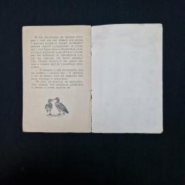 Картинка 6