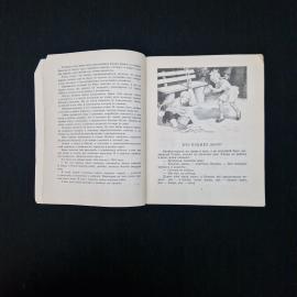 Картинка 4