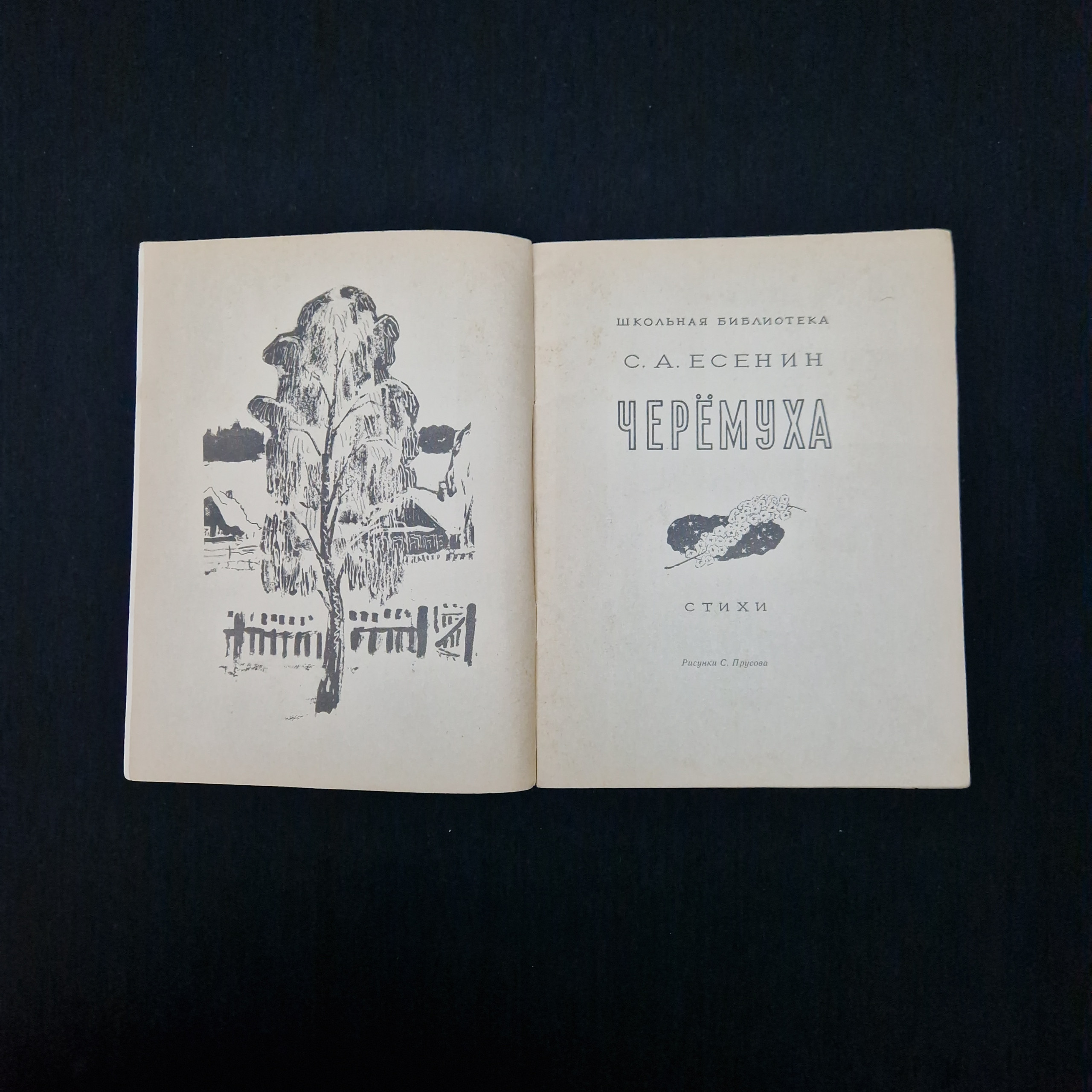Картинка 3