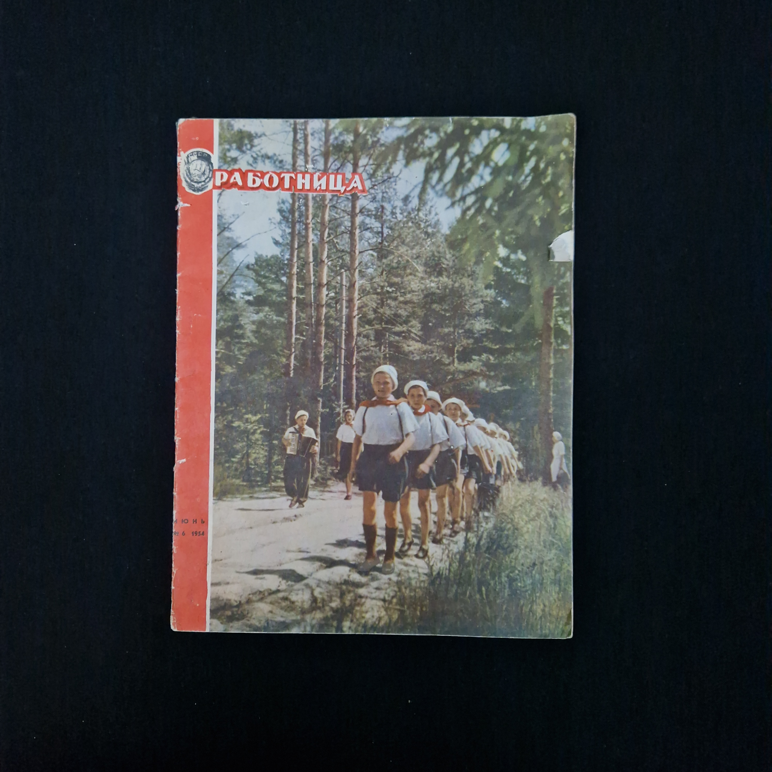 Картинка 1