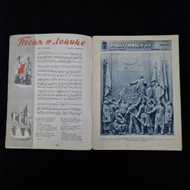 Картинка 3