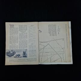 Картинка 5