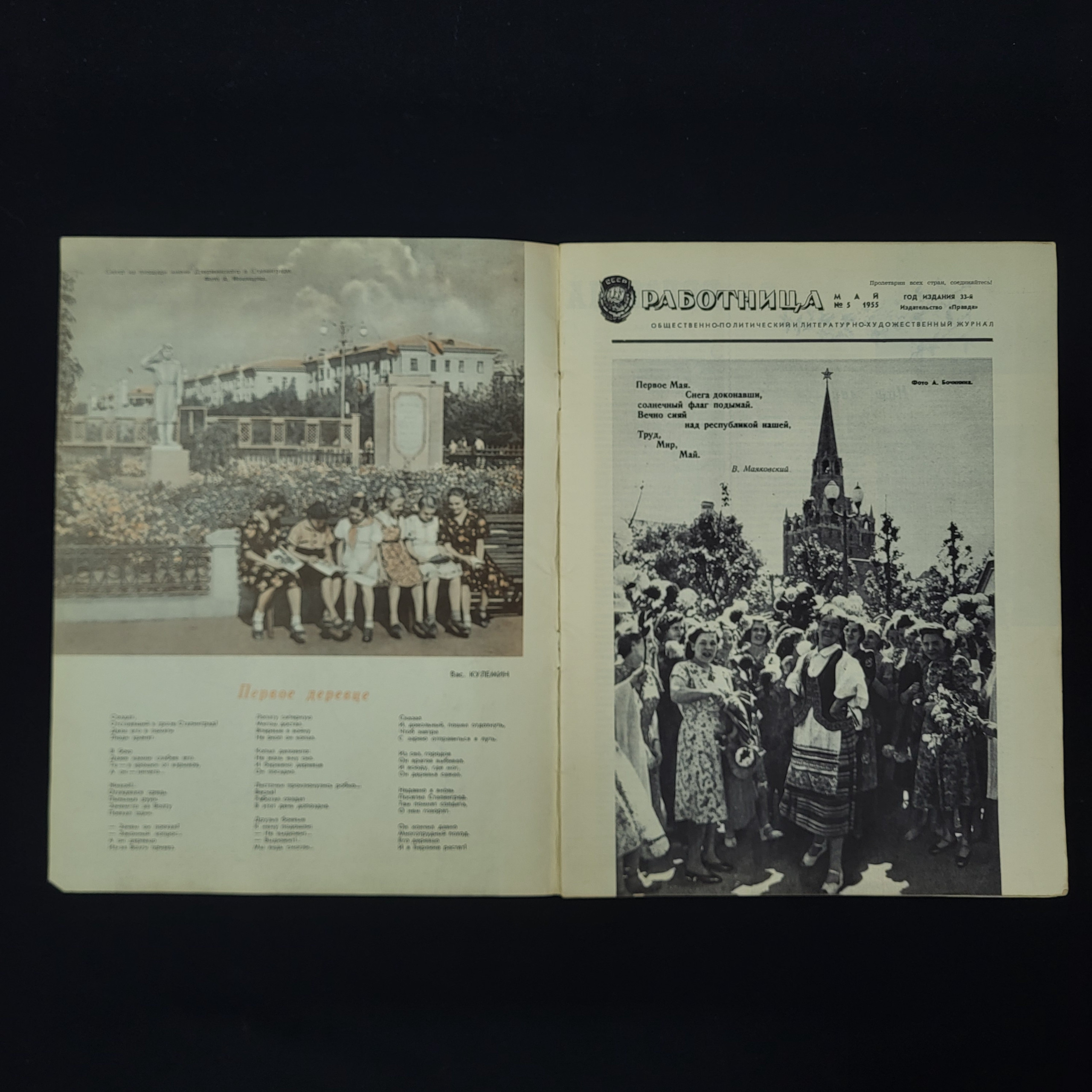 Картинка 3