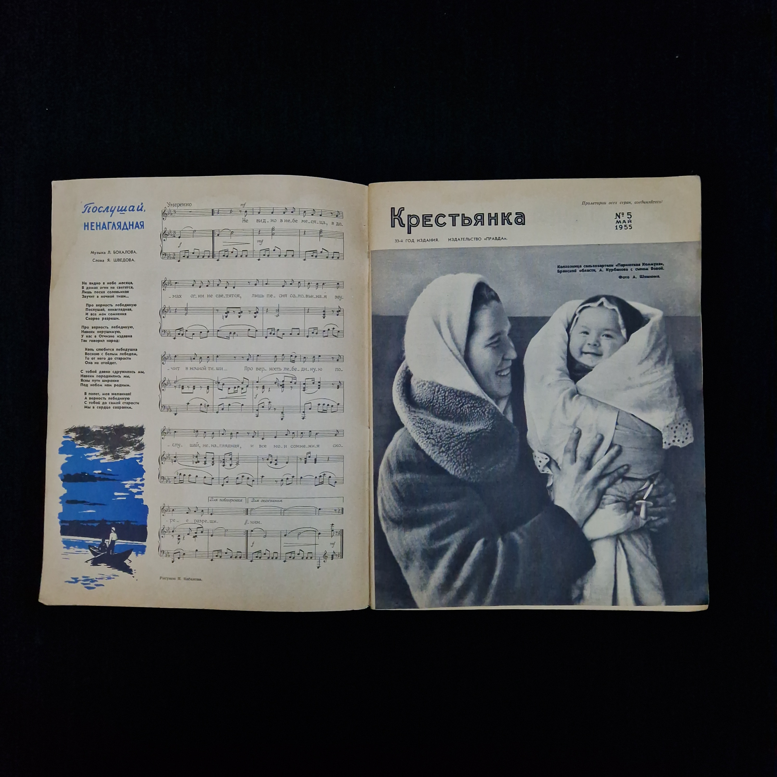 Картинка 3