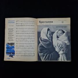 Картинка 3
