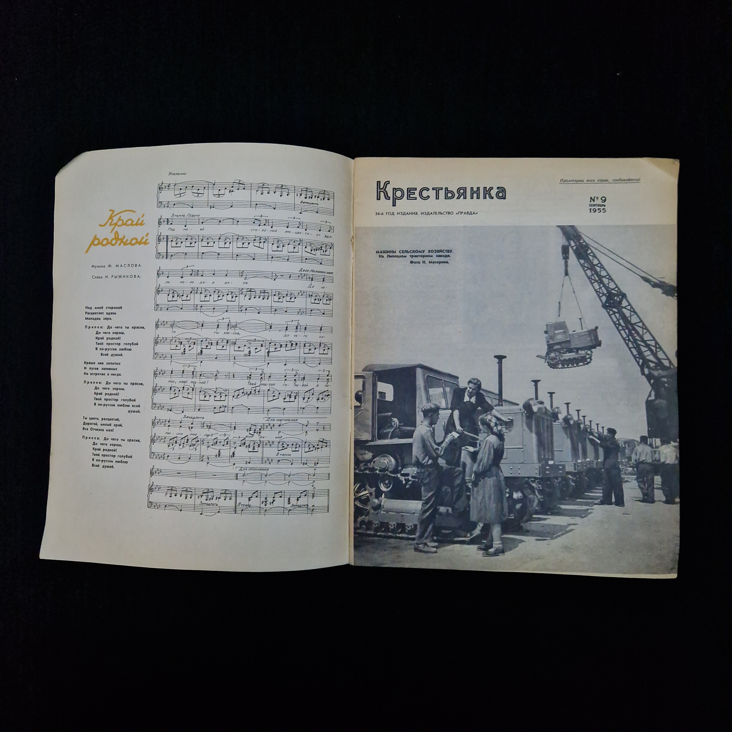 Картинка 3