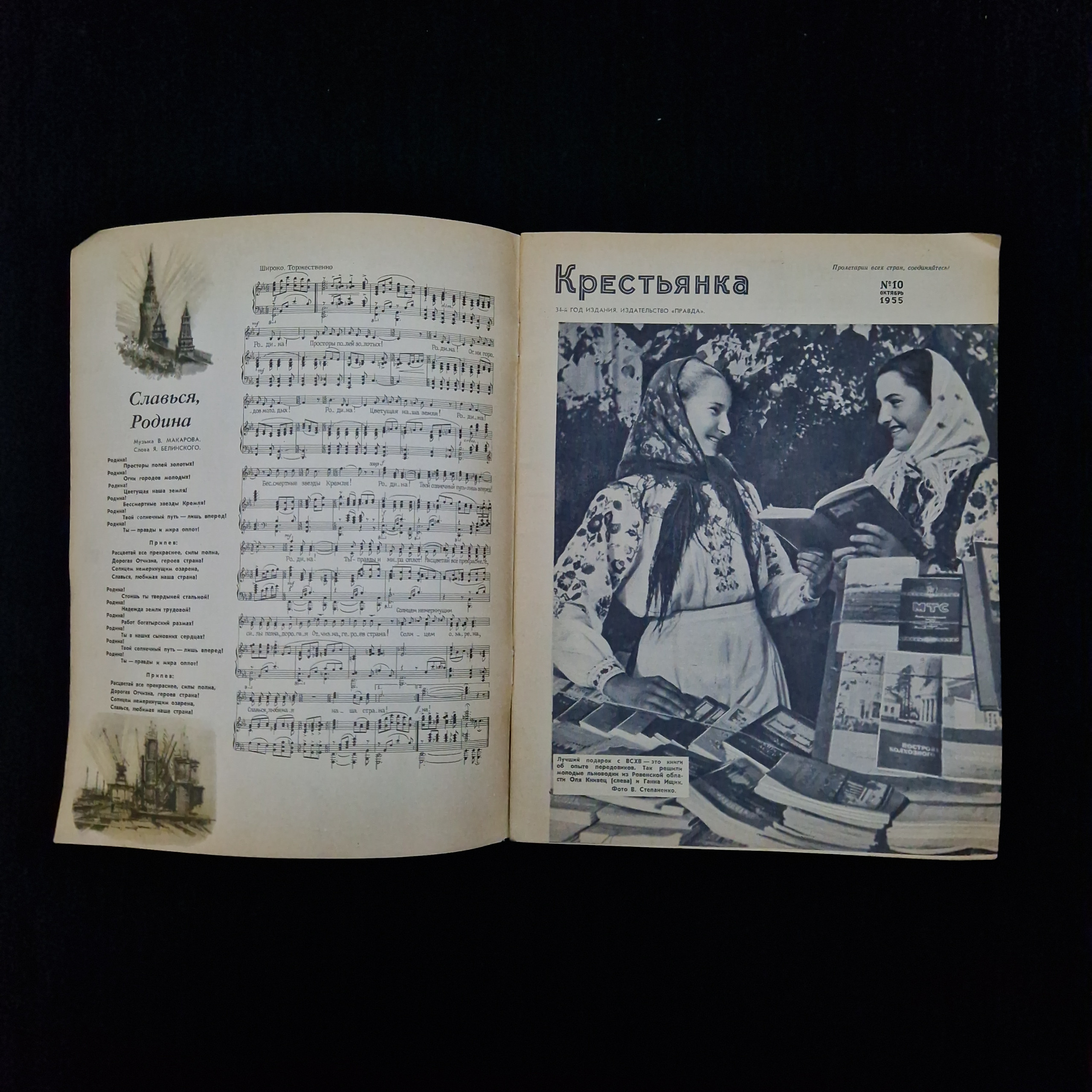 Картинка 3
