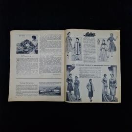 Картинка 4
