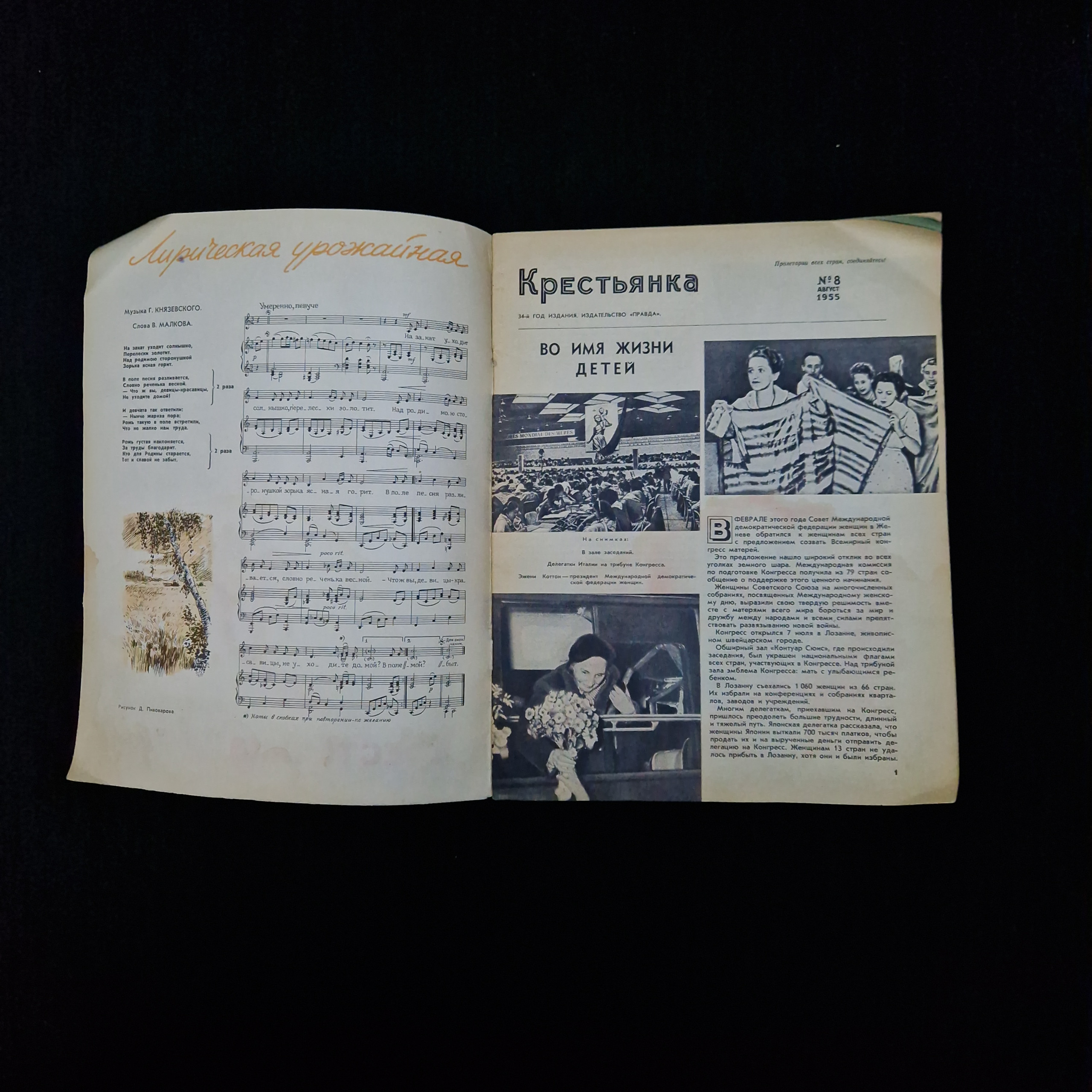 Картинка 3