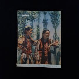 Картинка 2