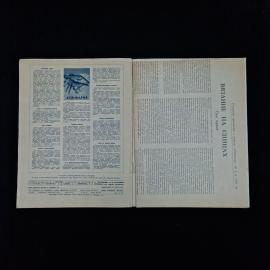 Картинка 5