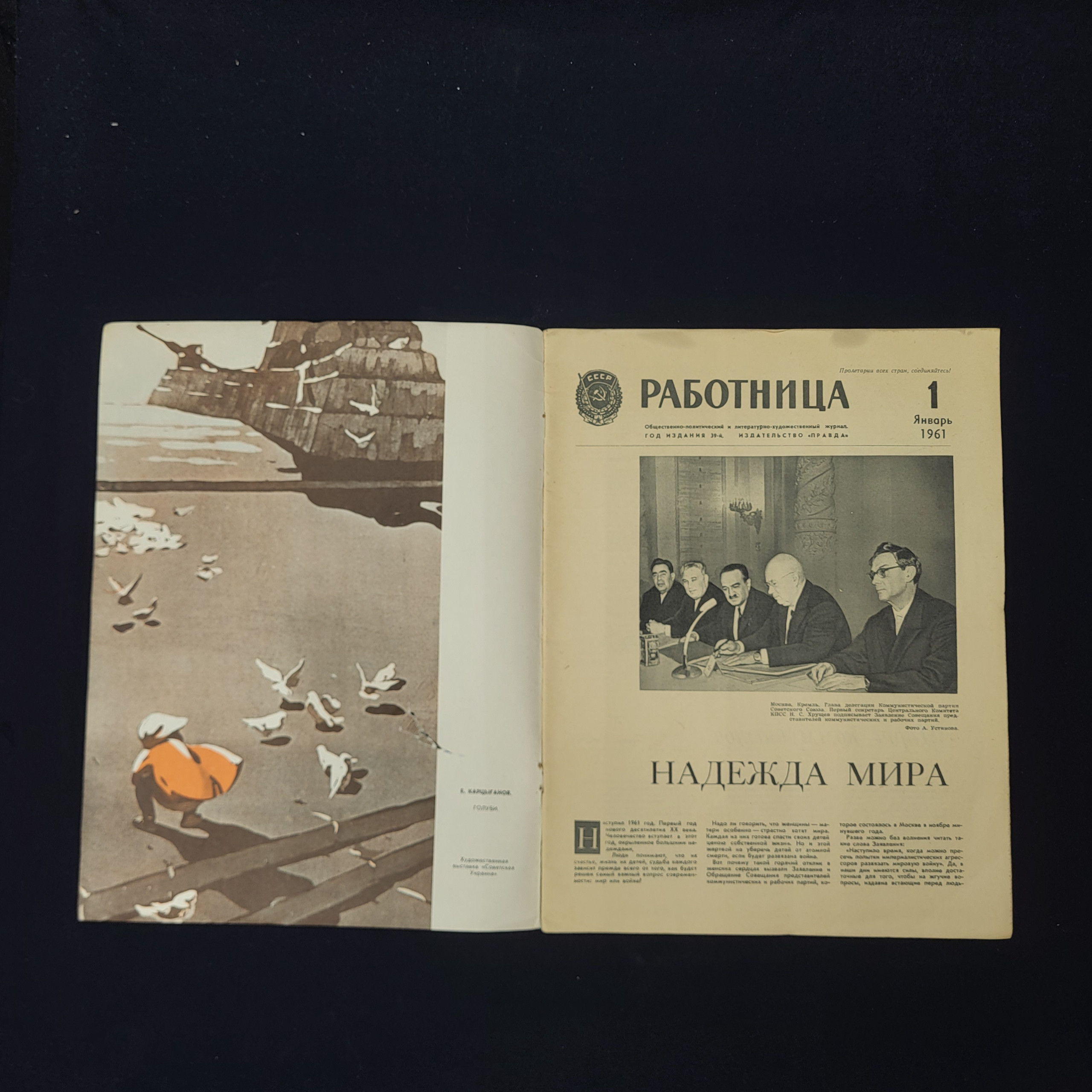 Картинка 3