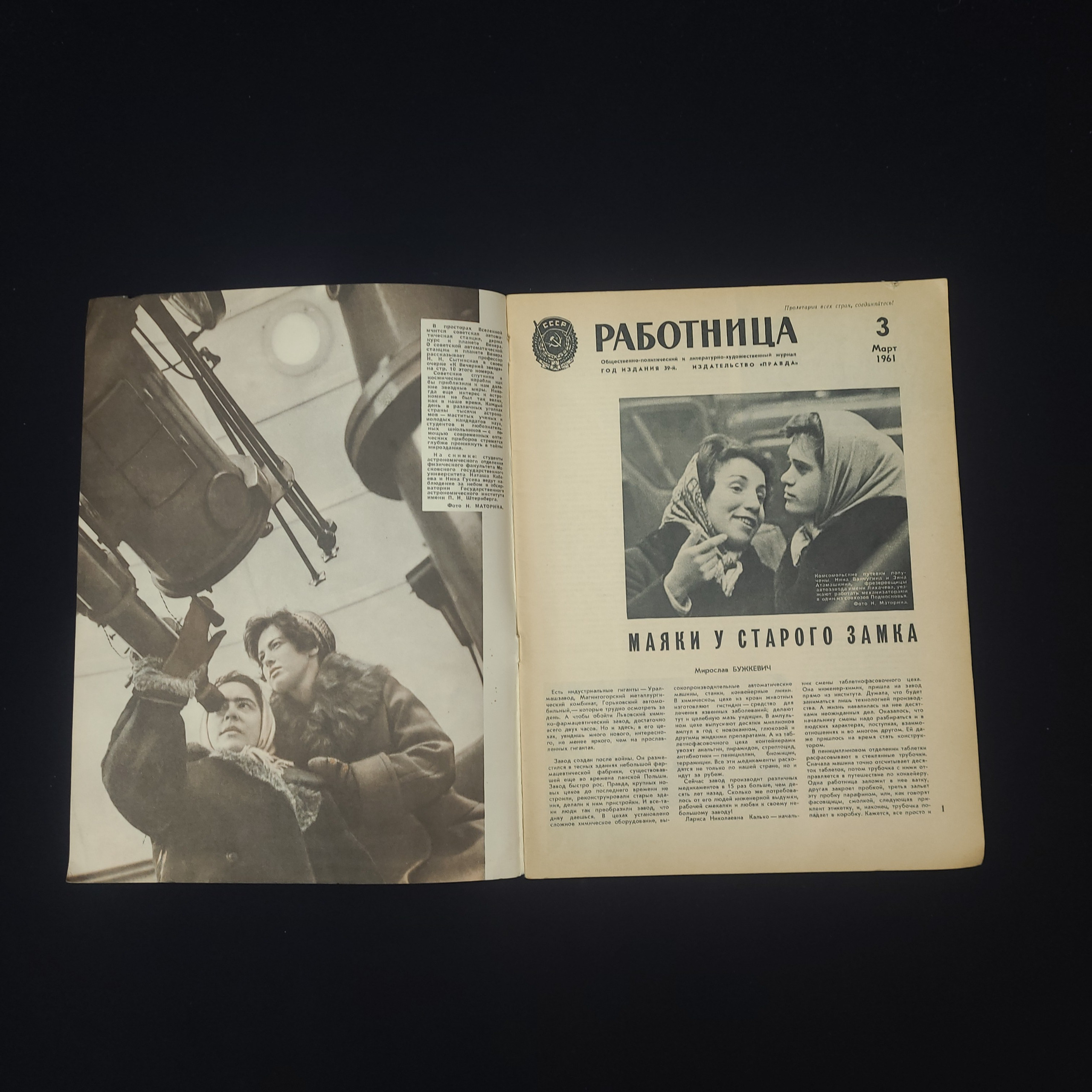 Картинка 3