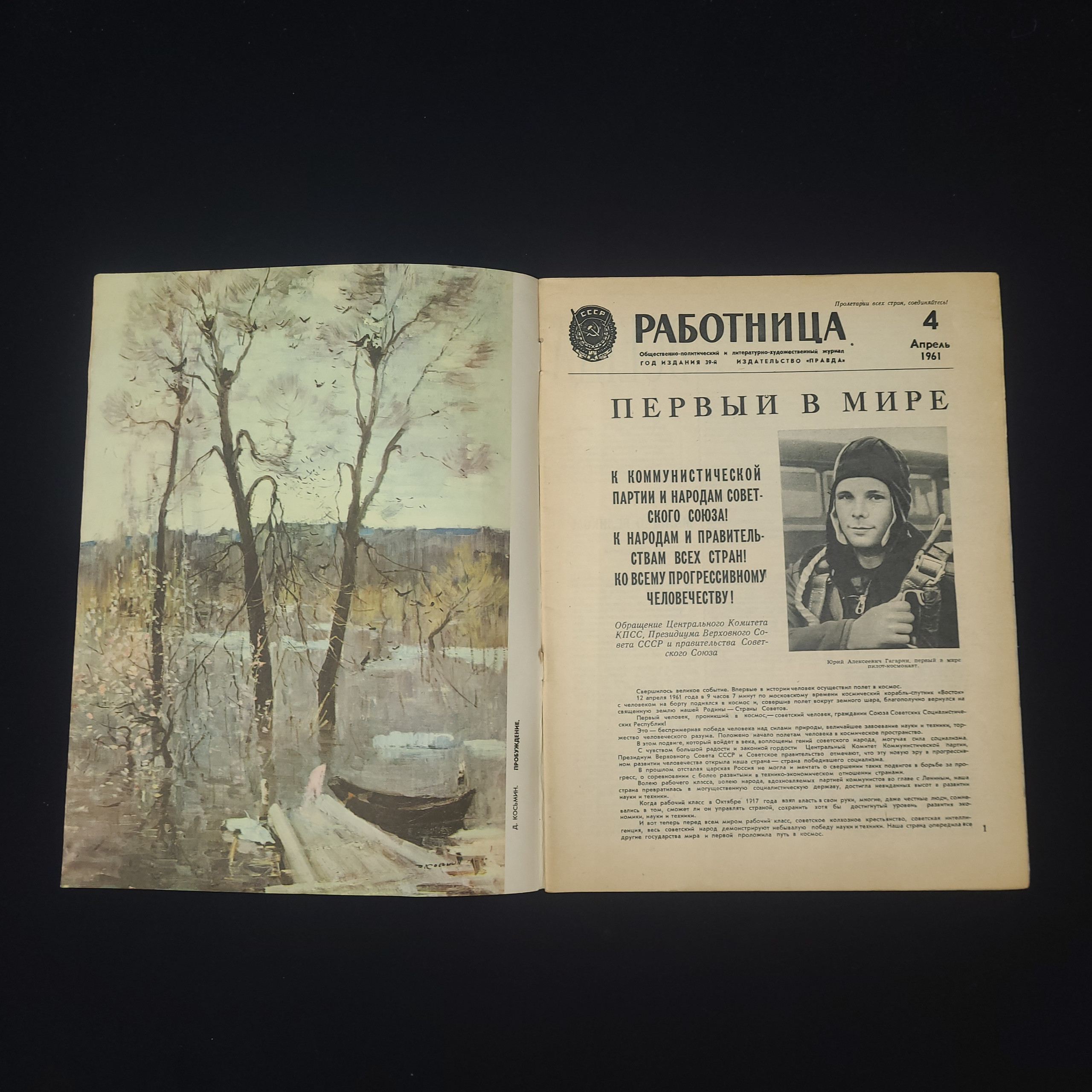 Картинка 3