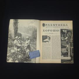 Картинка 3