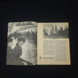 Картинка 3