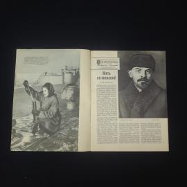 Картинка 3