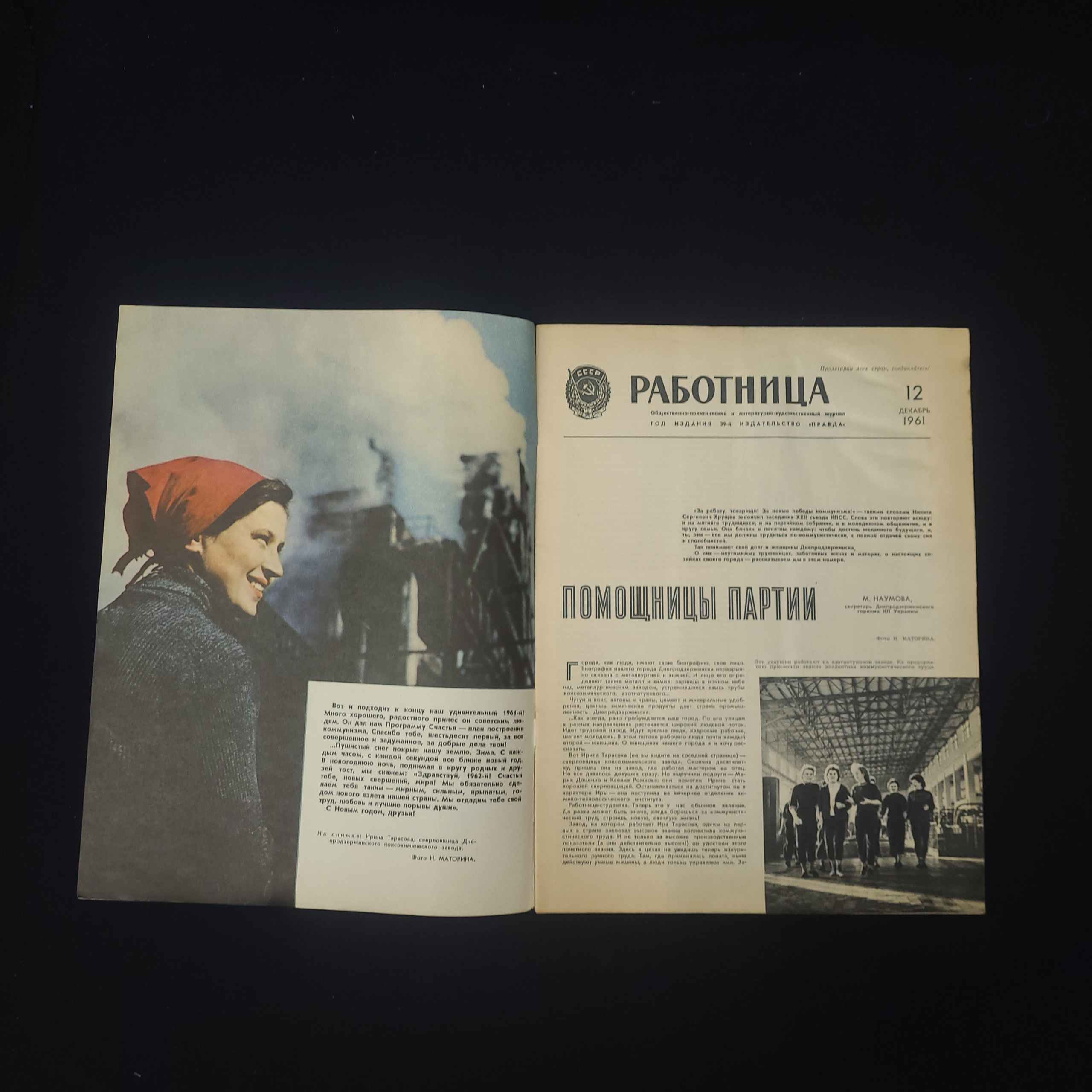 Картинка 3