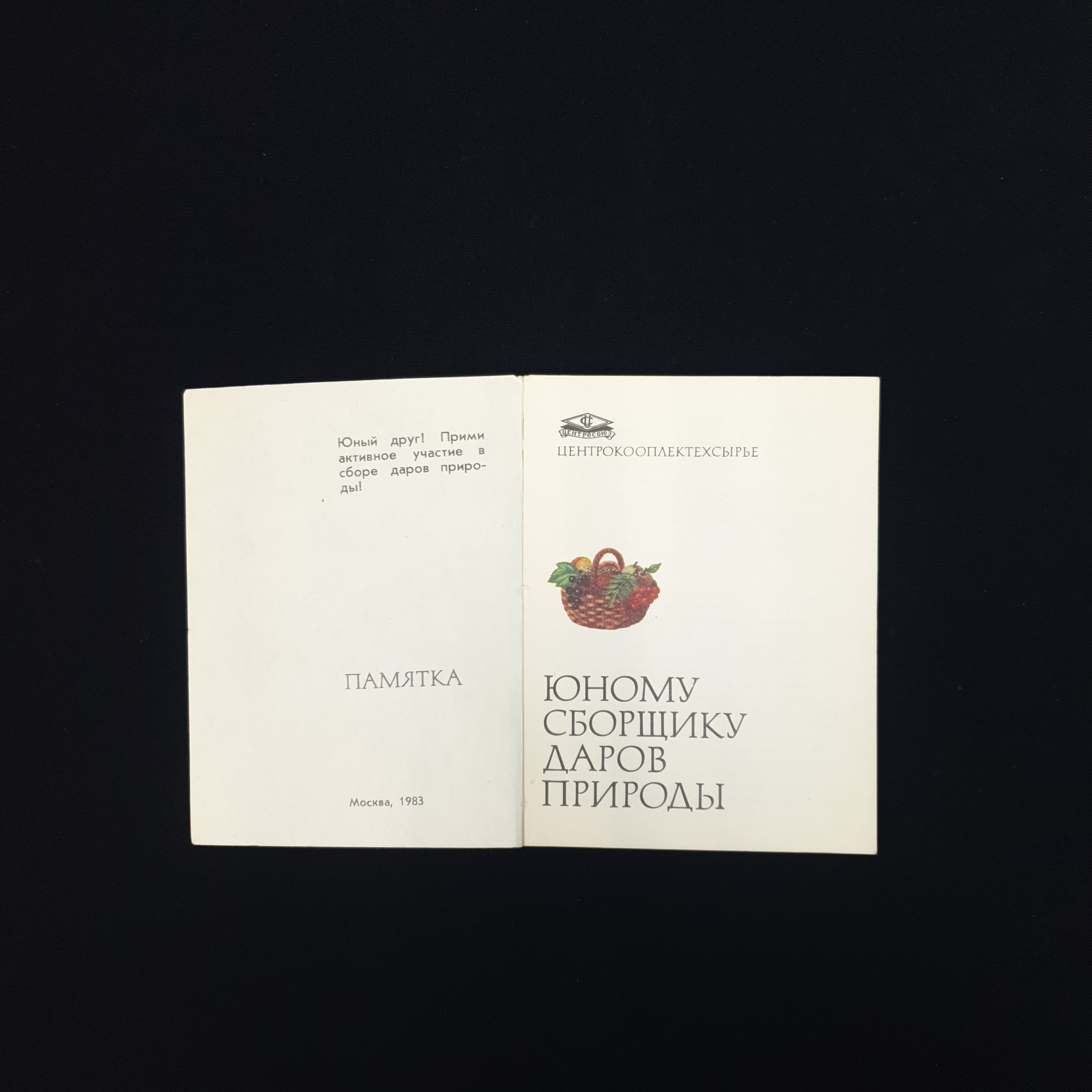 Картинка 4