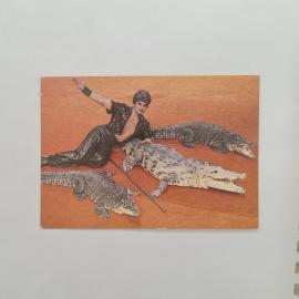 Карманный календарик СССР 1983. Цирковая артистка с крокодилами на манеже. Советский календарь