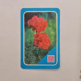 Карманный календарик СССР 1983 год. Гвоздики на фоне зелени. Советский календарь цветы, семейное стр