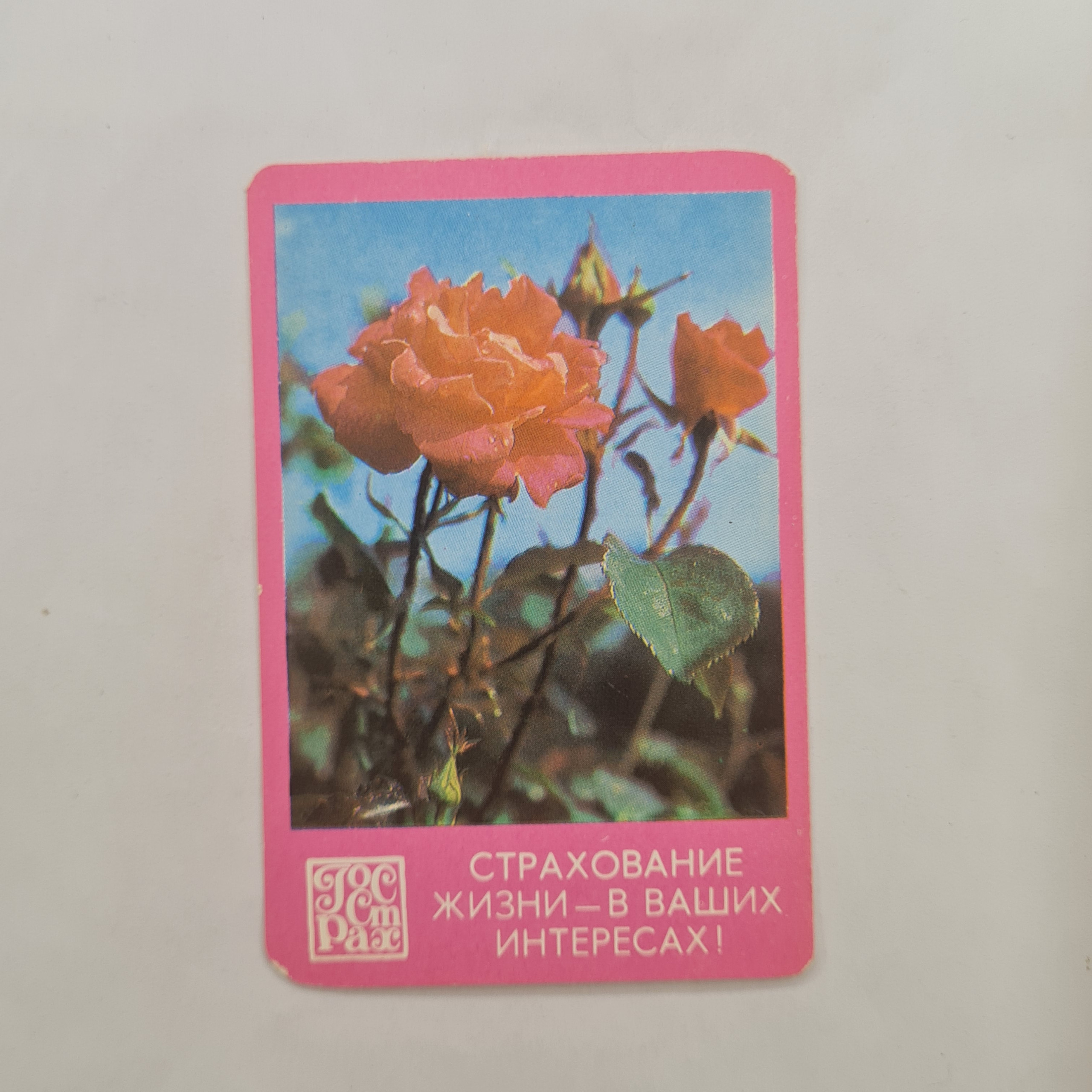 Картинка 1
