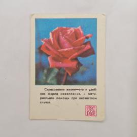 Карманный календарик СССР 1979. Красная роза и страхование жизни. Советский календарь Госстрах