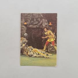 Карманный календарик СССР 1981. Цирковой номер дрессировщика с тиграми. Советский календарь