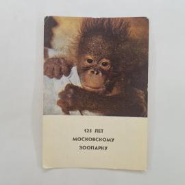 Карманный календарик СССР 1990. Детеныш орангутана, Московский зоопарк. Советский календарь