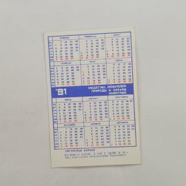 Картинка 2