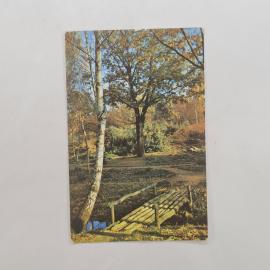 Карманный календарик СССР 1982. Осенний лес, береза, деревья и мостик. Советский календарь