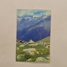 Карманный календарик СССР 1981. Горный пейзаж, вершины и альпийский луг. Советский календарь