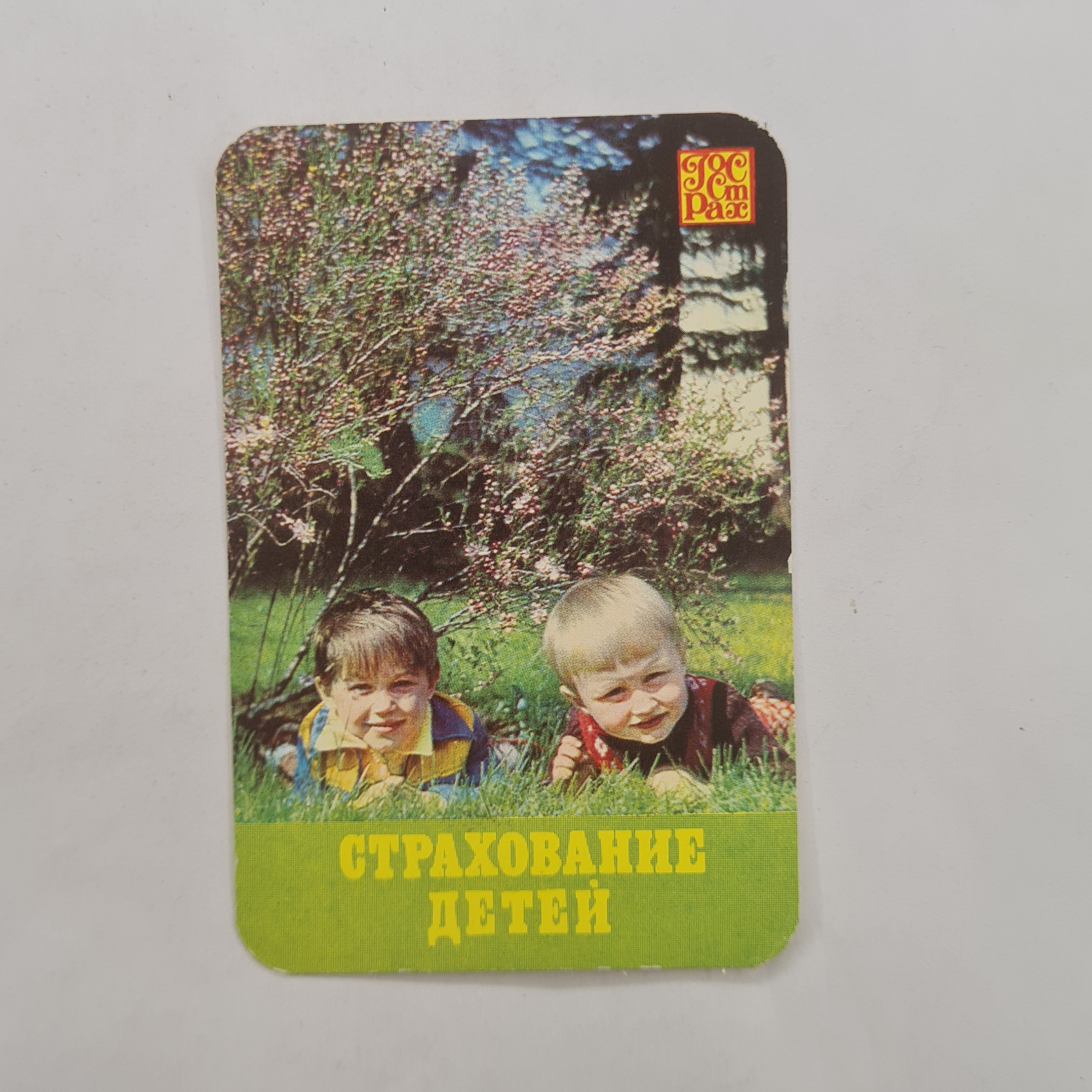 Картинка 1