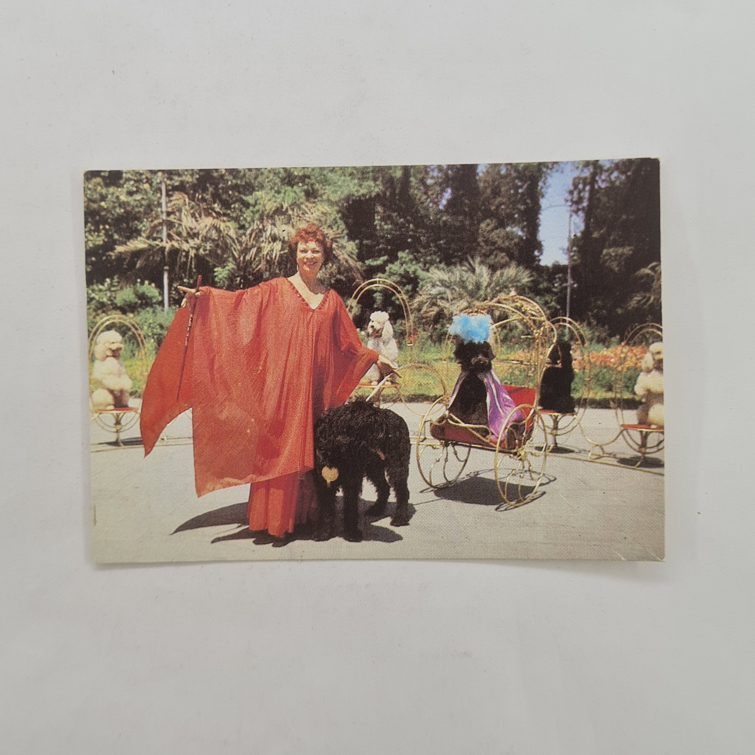 Картинка 1