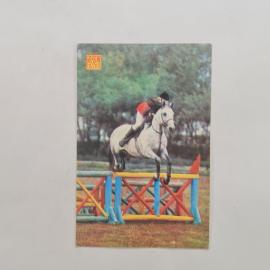 Карманный календарик СССР 1987. Наездник на белой лошади, конный спорт. Советский календарь