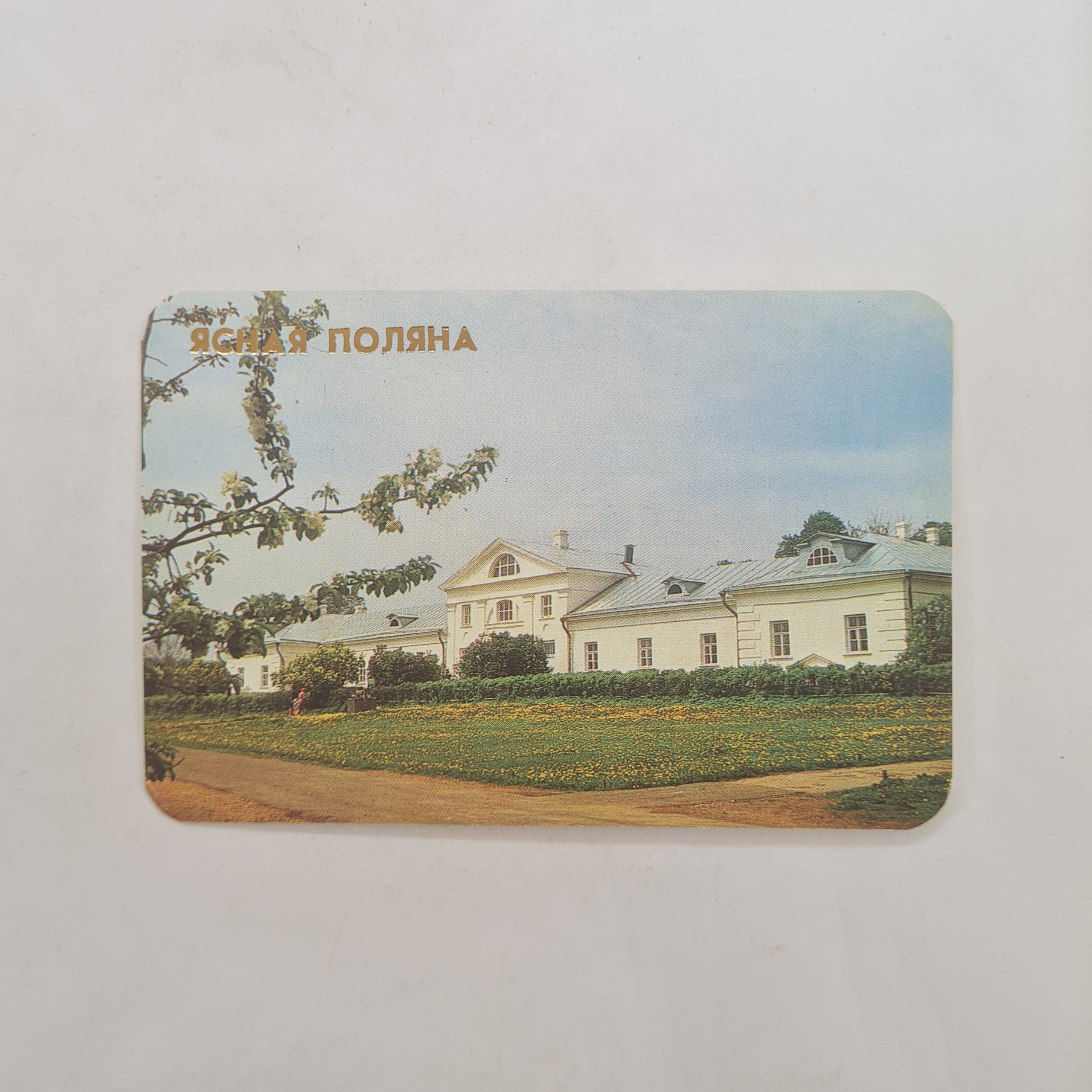 Картинка 1