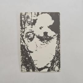 Карманный календарик СССР 1982. Портрет мужчины на фоне природы и деревьев. Советский календарь