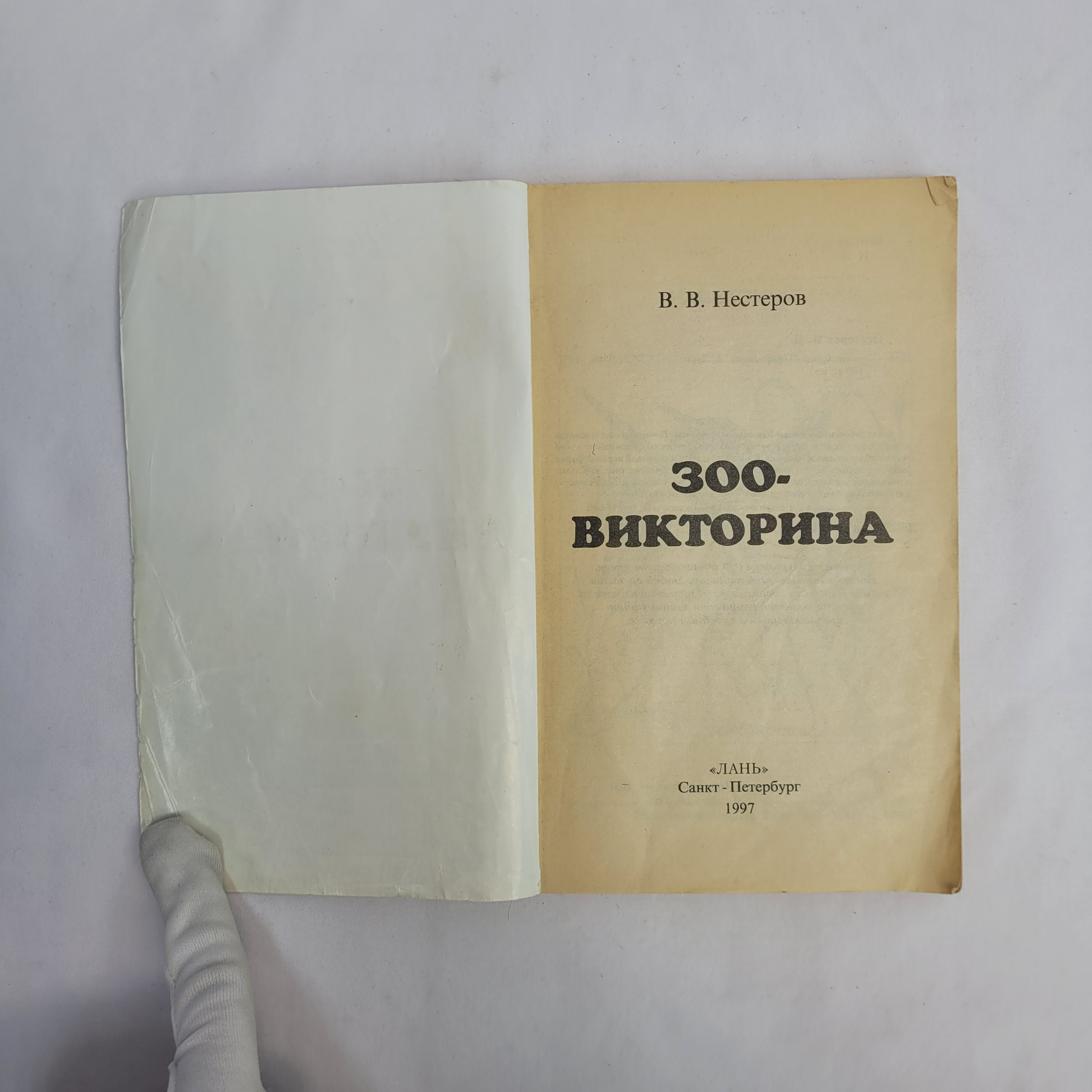 Картинка 2