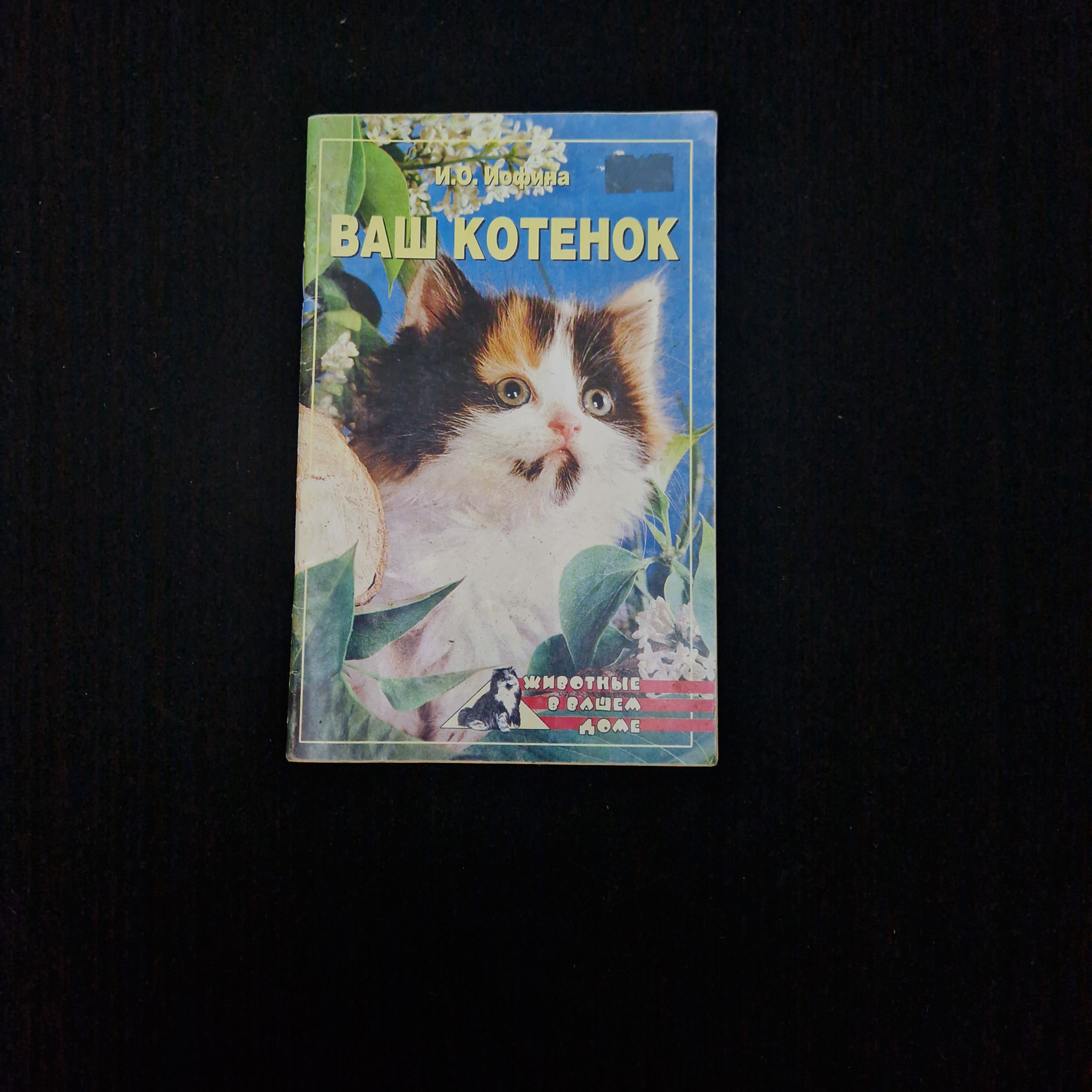 Картинка 1