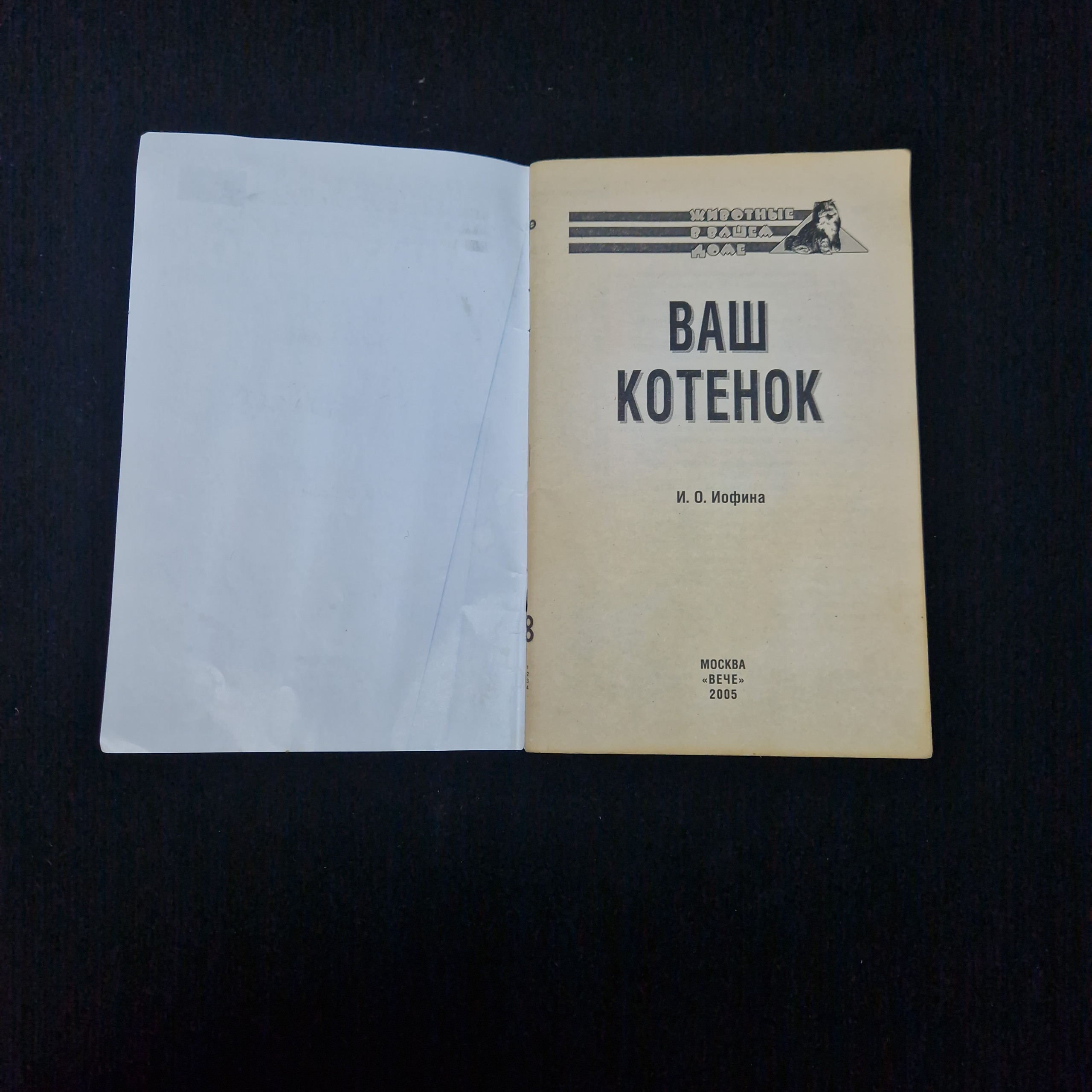Картинка 3