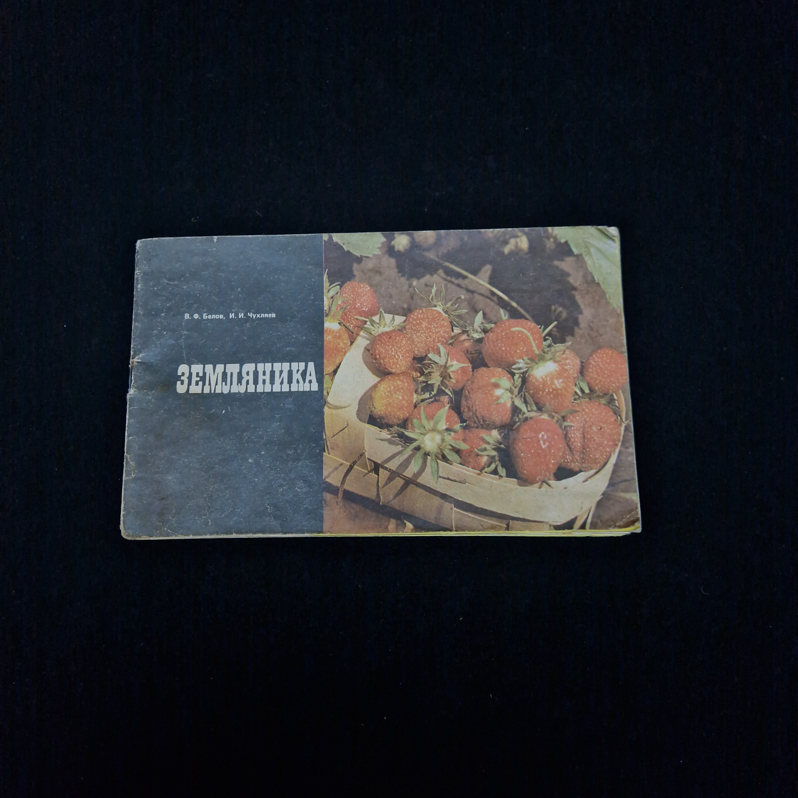 Картинка 1