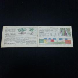 Картинка 4