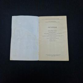 Картинка 3