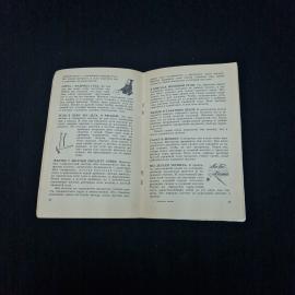 Картинка 5