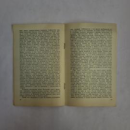 Картинка 3