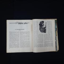Картинка 5
