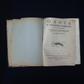 Картинка 3
