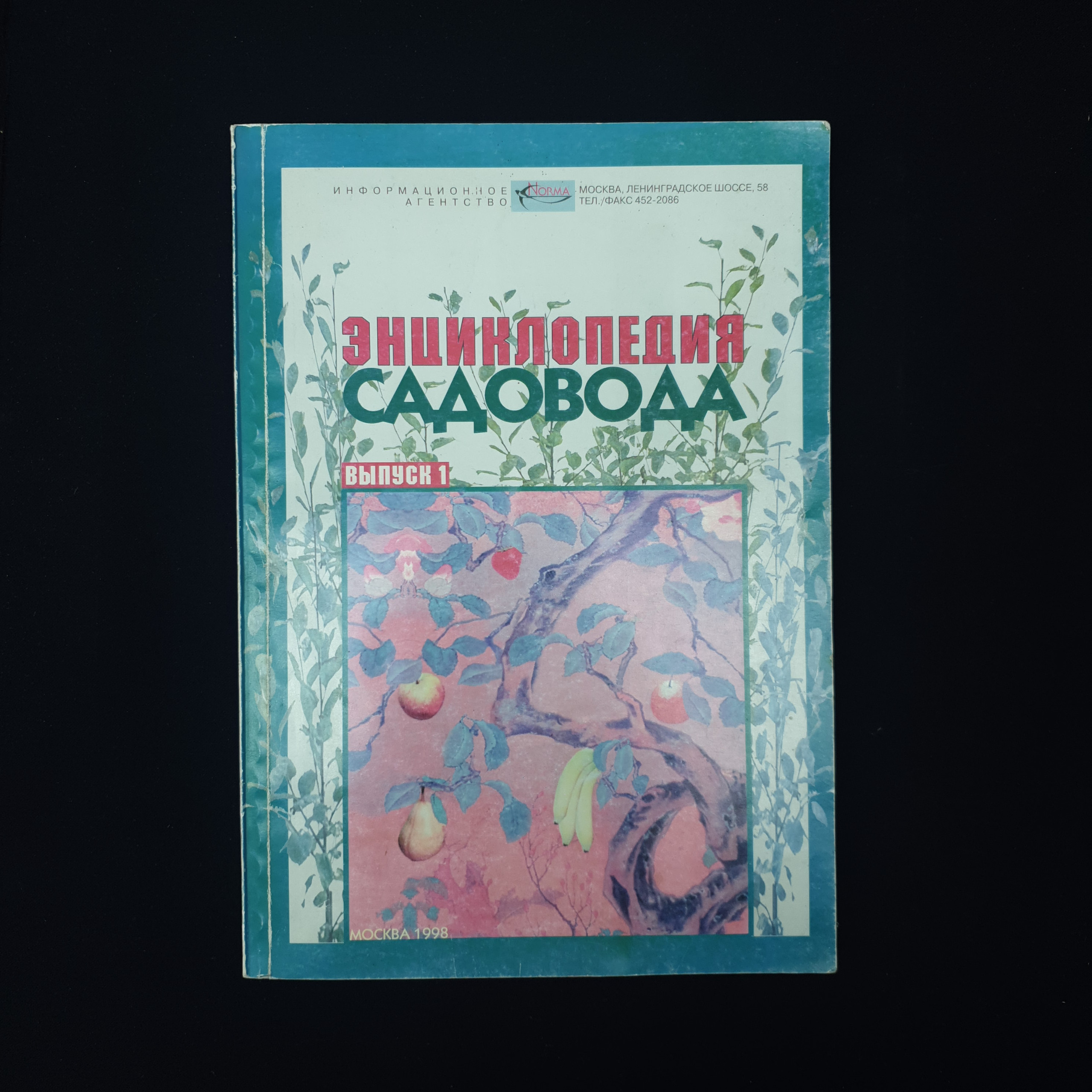 Картинка 1