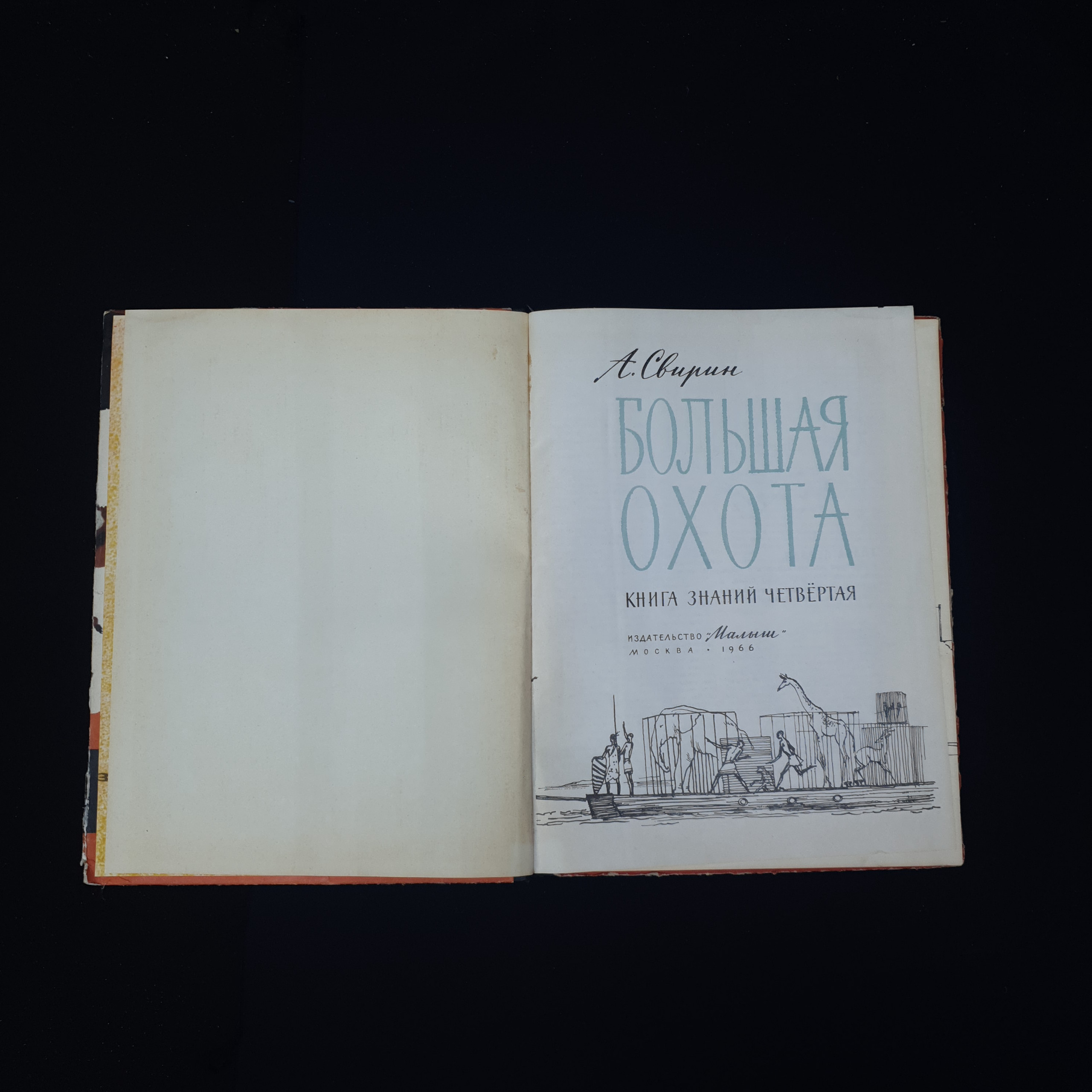 Картинка 3
