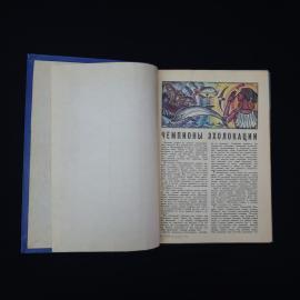 Картинка 3